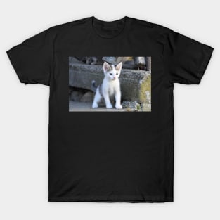 Kitty IV T-Shirt